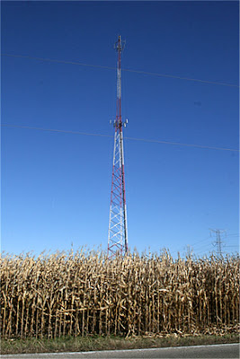 Cell Tower in Cornfield