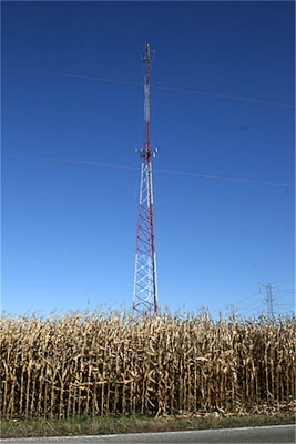 Cell Tower in Cornfield
